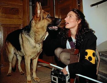 Rex, chien flic