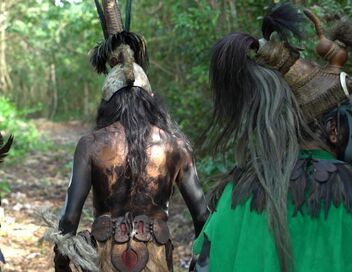 Le mystère des Mayas : des origines à la chute
