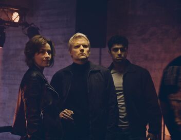 Les enquêtes du commissaire Van der Valk