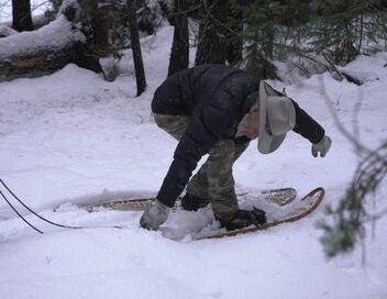 Seuls face à l'Alaska