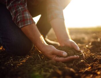 L'agriculture c'est là-haut aussi