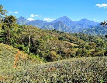 Le Honduras : entre forêt tropicale et plages