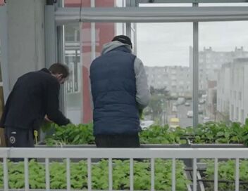 L'expérience de l'immeuble à légumes