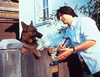 Rex, chien flic