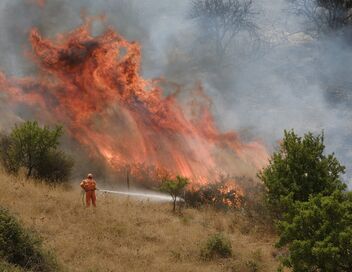 Sicile : à qui profitent les incendies ?