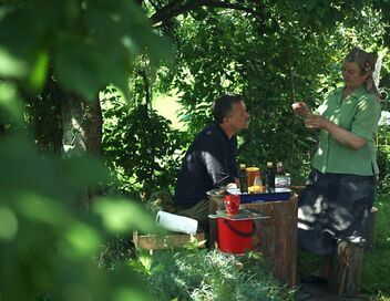 Médecines d'ailleurs