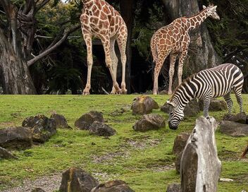 Le PAL : au coeur du zoo le plus insolite de France