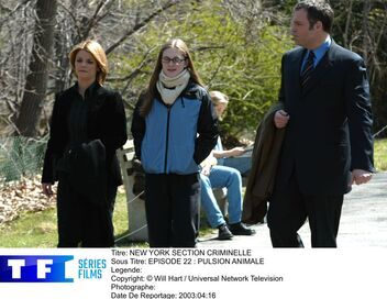 New York, section criminelle