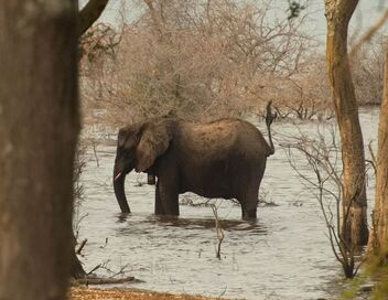 Le lac Tanganyika, géant africain