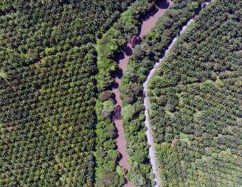 Des mains vertes pour la nature