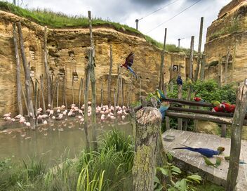 Zoo : le défi de demain