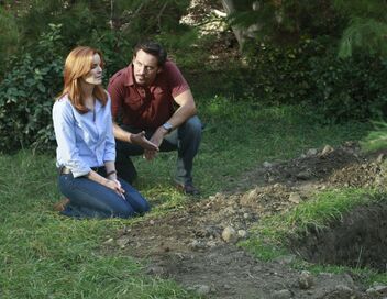 Desperate Housewives