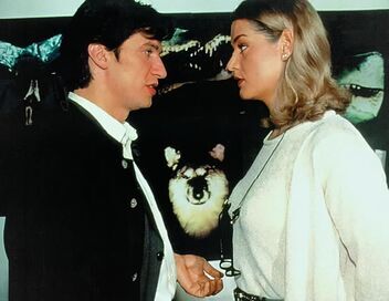 Rex, chien flic