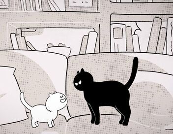 Putain de chat !