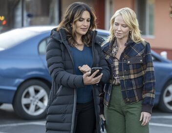 New York Unité Spéciale