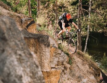 VTT : Coupe du monde de descente