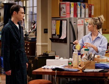 The Big Bang Theory
