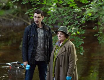 Les enquêtes de Vera