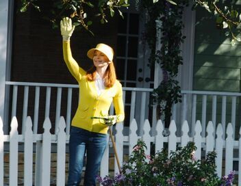 Desperate Housewives
