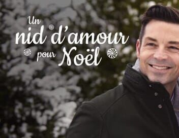 Un nid d'amour pour Noël