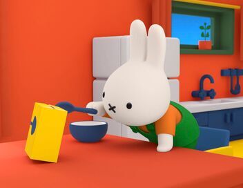 Miffy et ses amis