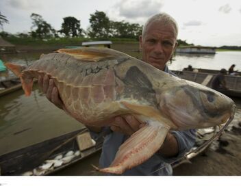 River Monsters