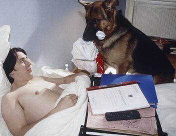 Rex, chien flic