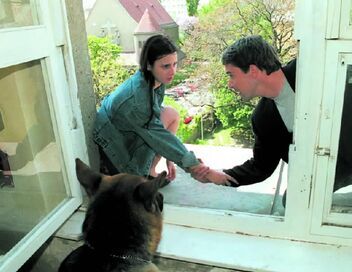 Rex, chien flic