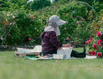Les jardins botaniques : Un sanctuaire pour la flore