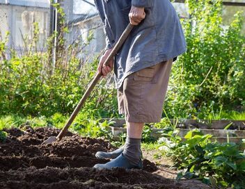 Super-seniors en pleine forme