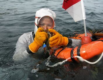 Japon, les reines de la mer