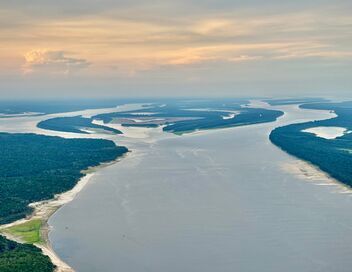 Aventures brésiliennes