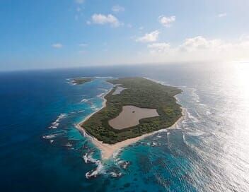 La vie sauvage des monuments aux Petites Antilles