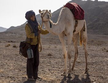 Zodi et Téhu, frères du désert