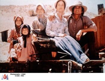 La petite maison dans la prairie