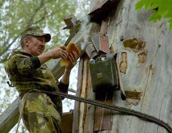 Les maîtres des abeilles