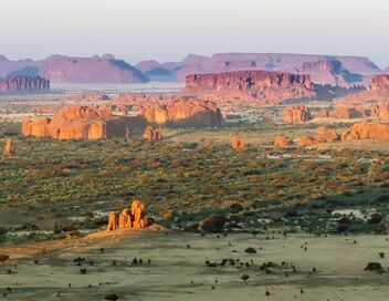 Un écrin de nature dans le Sahara