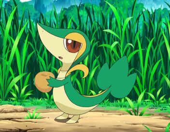 Pokémon : Noir et Blanc