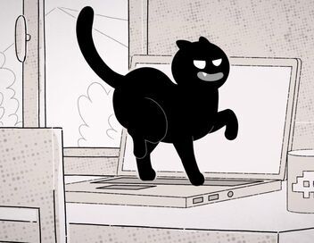 Putain de chat !