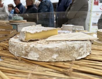 Les fromages AOP dans la tourmente