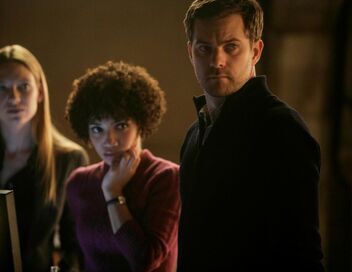 Fringe