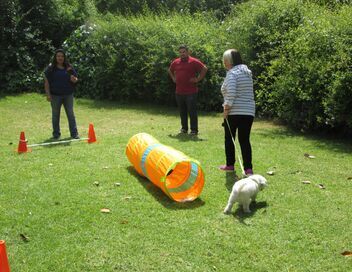 Petits mais féroces!