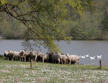 Invitation au voyage