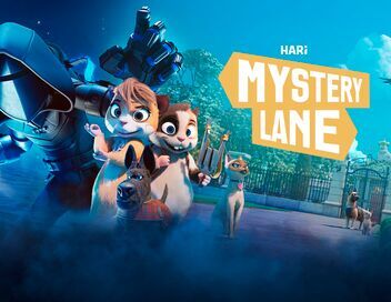 Mystery Lane