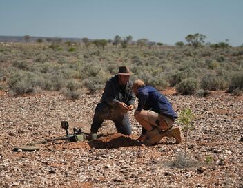 Australie, la ruée vers l'or