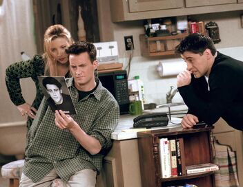 Friends