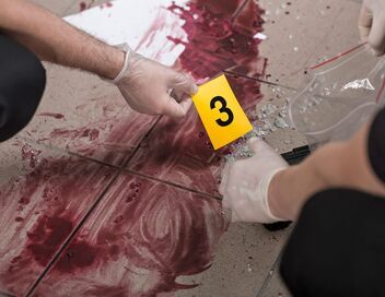 Crimes