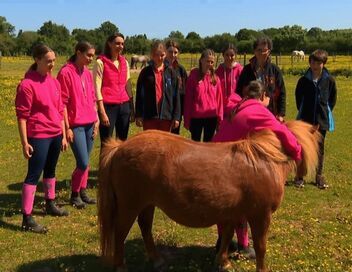 Au galop ! Une saison à cheval
