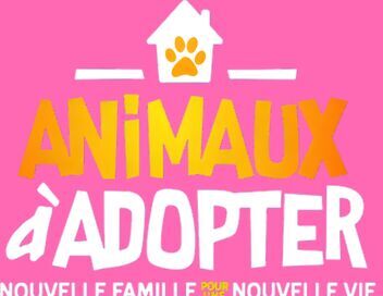 Animaux à adopter