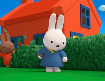 Miffy et ses amis